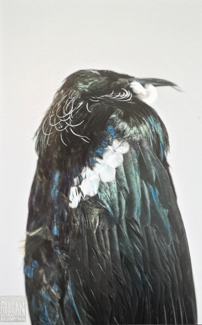 Tui's Rest