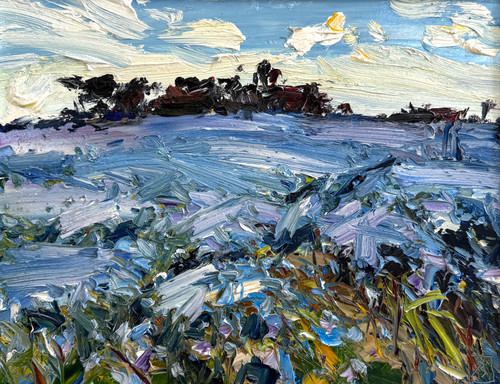 9.12.25 Midday Linseed