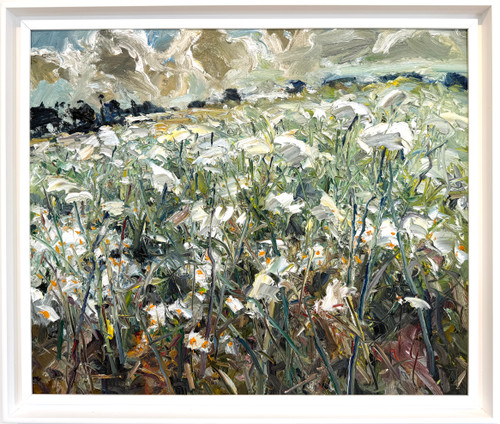 Carrot Fields, John Talbot Rd 4.1.26