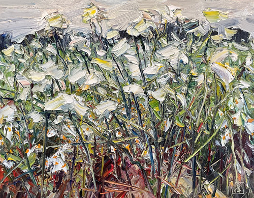 No.6, Carrot 28.1.26