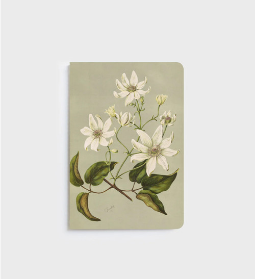Clematis Indivisa | Notebook