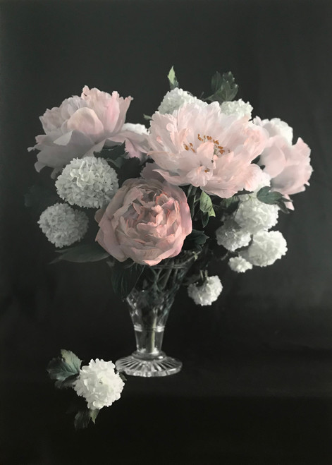 Peony, Pompom