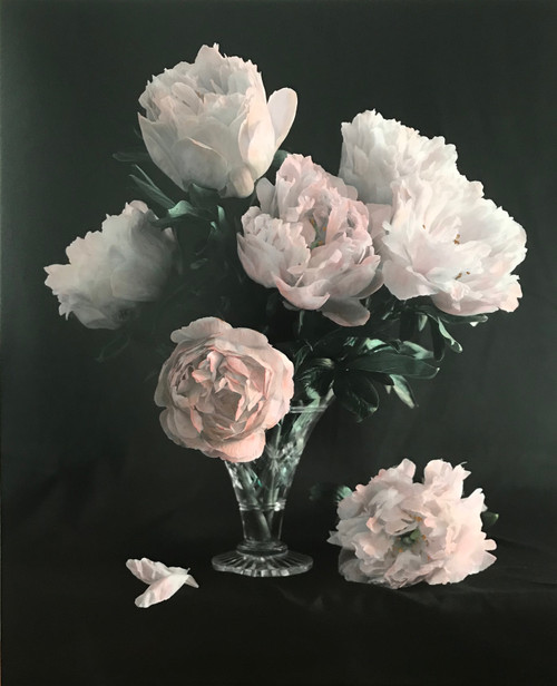 Peony Deluxe