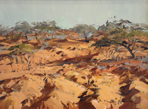 Eroded Desert, Ravenswood Australia 1982