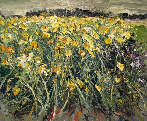 Chrysanthemum's Mayfield, AM 18.1.22