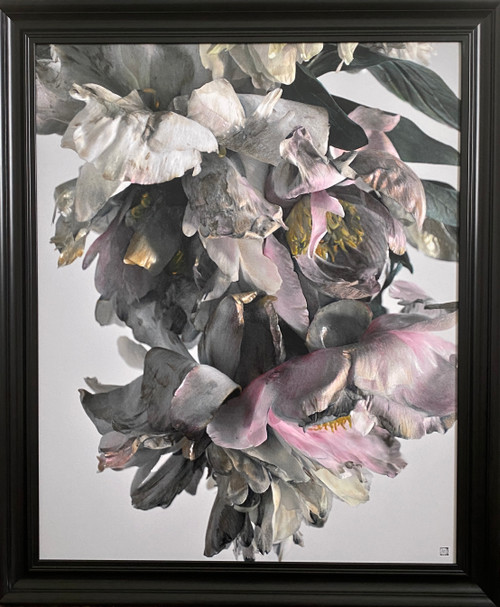Peony Species 0244 Deluxe