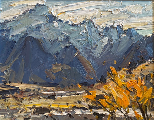 PM 1.5.23 Mt Sefton, Mt Cook Station