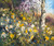 Studio Garden AM 8.9.24
