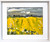 No.13, Rape Seed 19-20.12.25