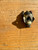 Bee Bronze