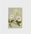 Clematis Indivisa | Notebook