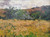 Meadow with Elderberries, Speargrass Flat 1995