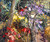 Studio Garden 11.9.26