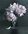 Peony Deluxe #3