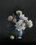 Peony Species 0255