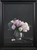 Peony Species 0221