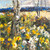 PM 1.9.23 Studio Garden
