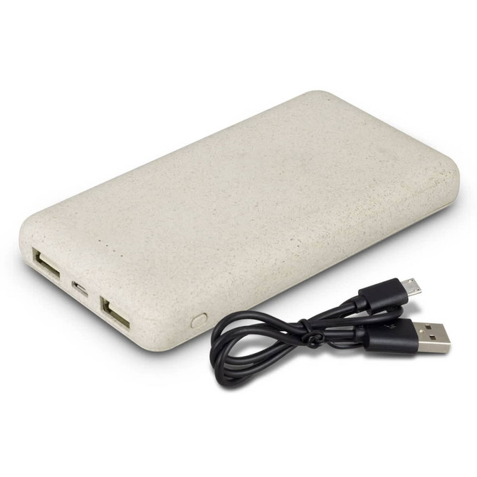 A light grey power bank with two USB ports and a black charging cable. The power bank has a smooth, textured surface.