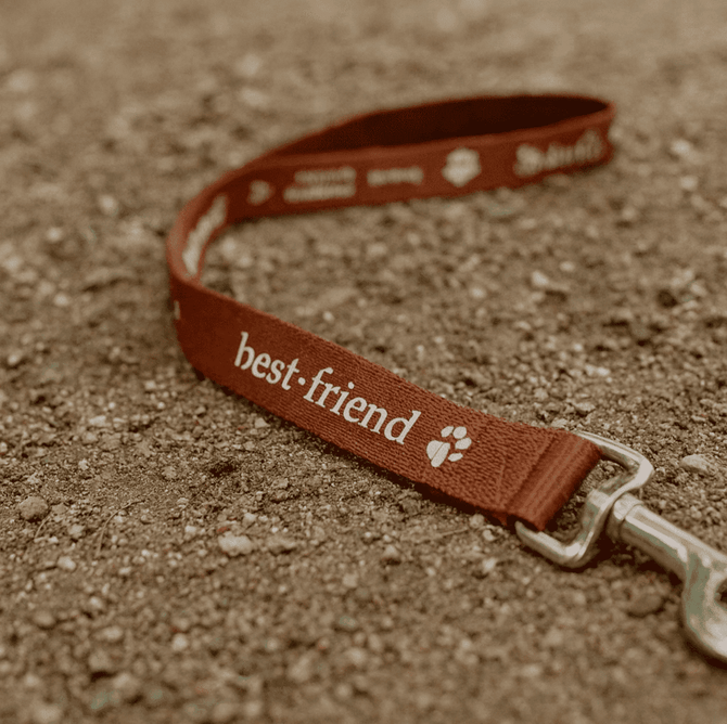 A brown dog leash with a metal clasp and a logo, featuring the text "best friend".