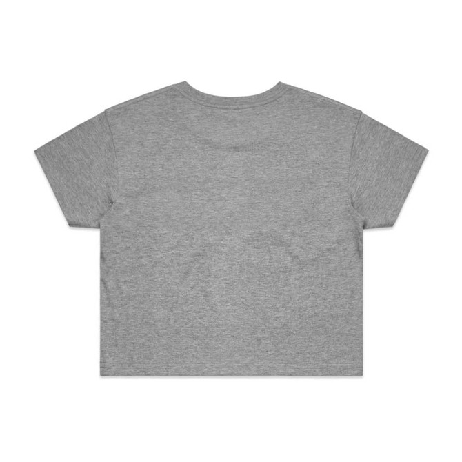 A grey cropped t-shirt with short sleeves and a plain back. It features a logo.