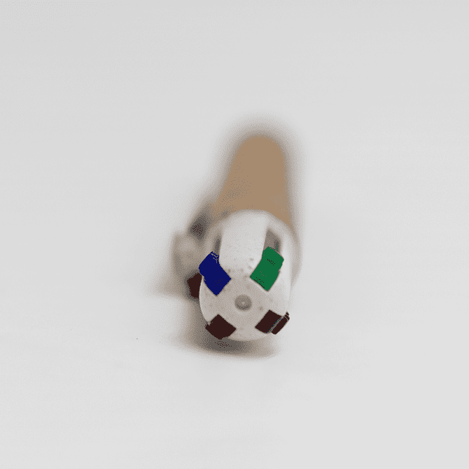 A cork pen with a beige body featuring four different ink colours: green, blue, black, and red, and a logo.