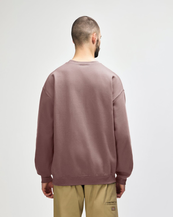 A softstyle adult sweatshirt in a muted mauve colour, featuring a simple back view and long sleeves.