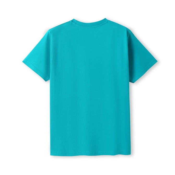 A turquoise unisex modern fit tee with short sleeves and a plain back view.