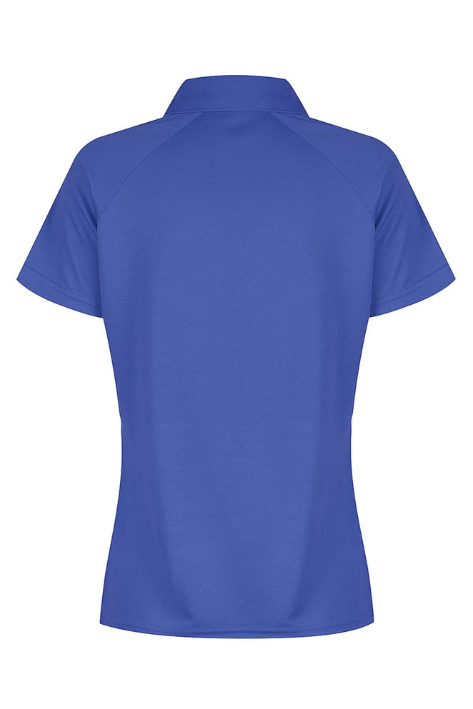 A blue polo shirt with a collar and short sleeves, featuring a logo at the back.