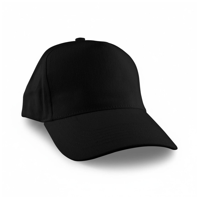 A black cap with a curved brim and a structured design, featuring a logo on the front.