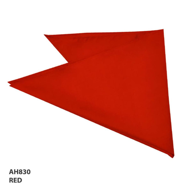 A red bandanna featuring a triangular shape and a logo.