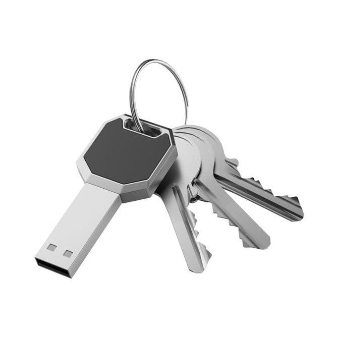 A silver and black USB flash drive attached to a keyring, alongside several metallic keys.