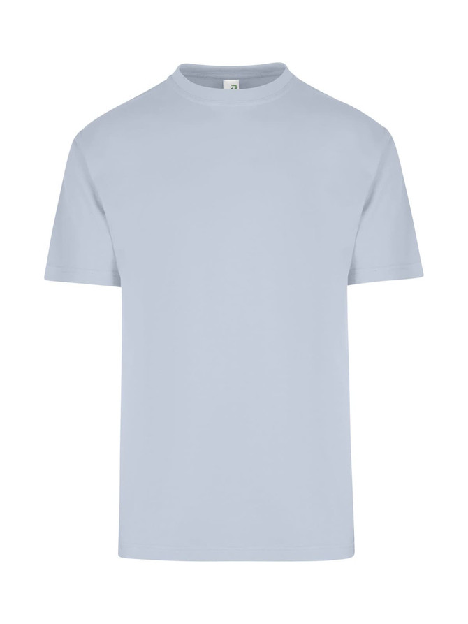 A light blue men's/unisex regular T-shirt with short sleeves and a plain design. Features a logo on the neckline.