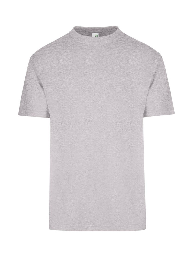 A grey unisex regular T-shirt with a simple design and short sleeves. It has a logo on the label.