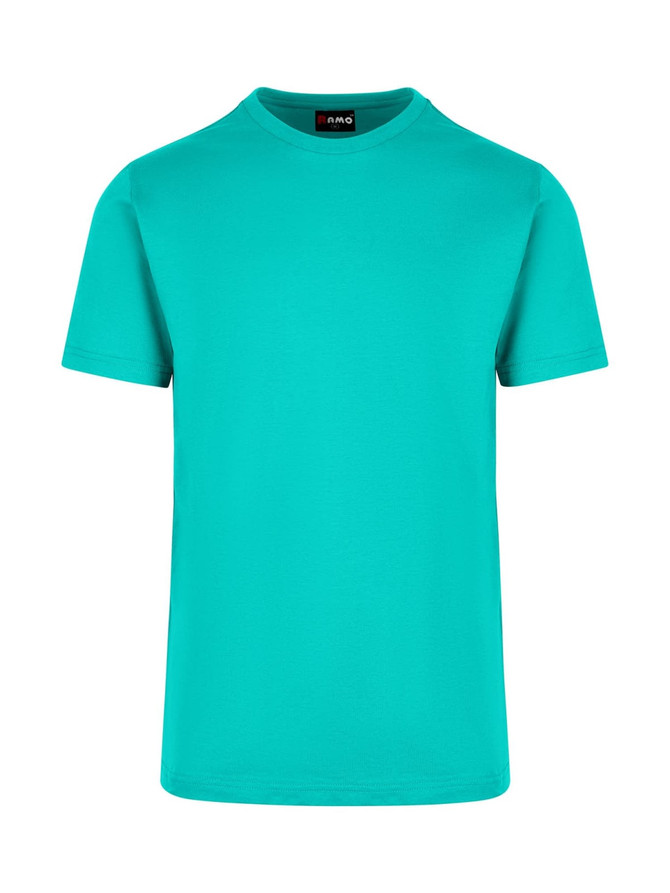 A teal unisex American style t-shirt with a rounded neckline and short sleeves. It features a logo label.