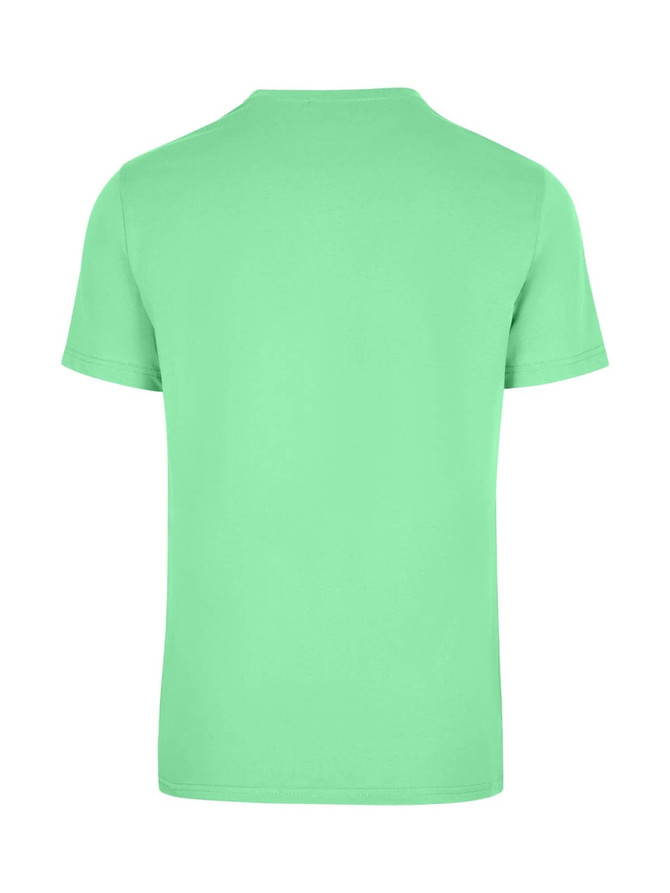 A mint green unisex t-shirt with short sleeves, featuring a plain back and a logo.