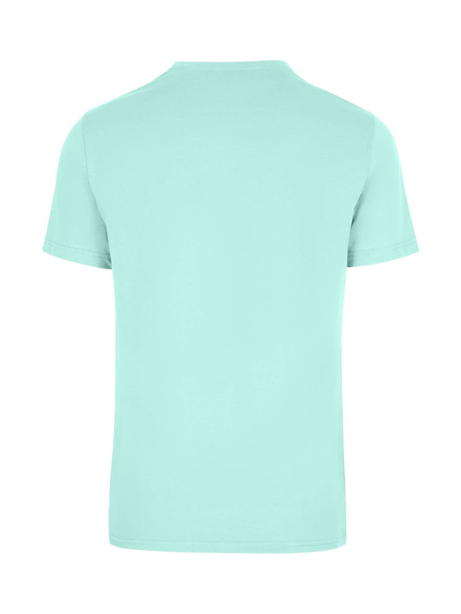 A mint green unisex t-shirt with a simple design and short sleeves. It has a logo on the back.