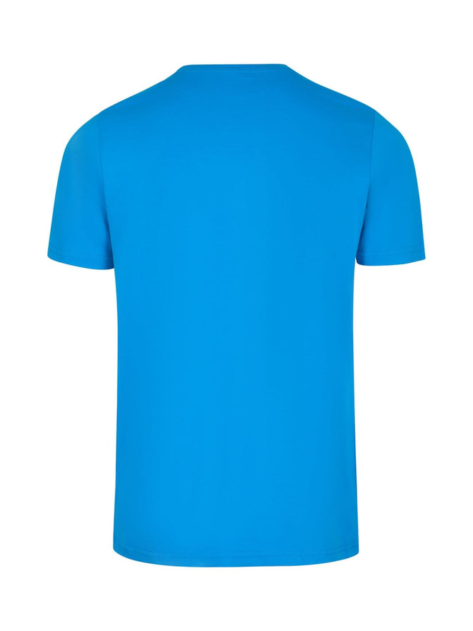 A blue men's slim fit T-shirt, featuring a simple design and a logo on the back.