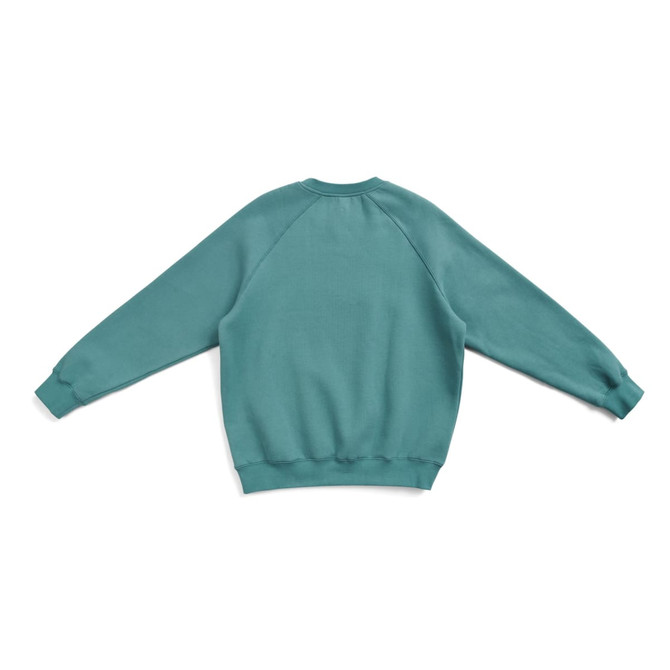 A teal adults' cotton care sweatshirt with long sleeves and a relaxed fit, featuring a simple design.