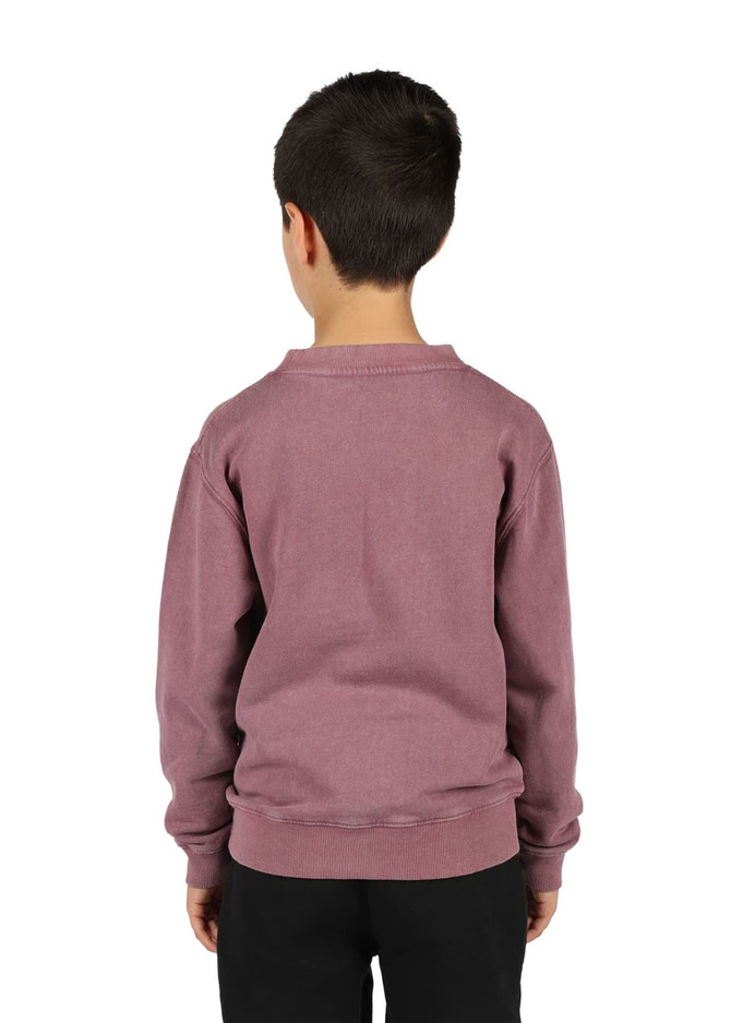 A unisex stone wash sweatshirt in a mauve colour, featuring a simple design and a logo on the back.