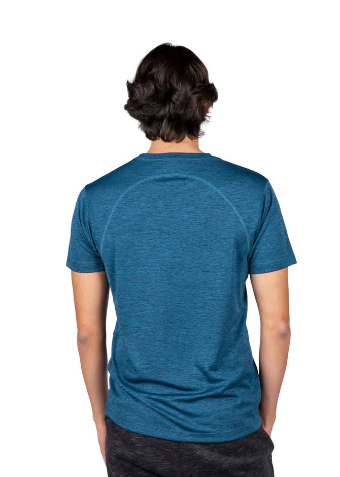 A back view of a men's/unisex T-shirt, featuring a blue heather design and short sleeves. It has a logo on the back.