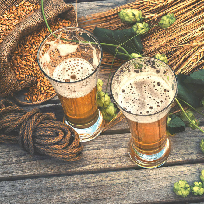 Two clear Pilsner glasses filled with golden beer, surrounded by hops, grains, and twine on a wooden surface.