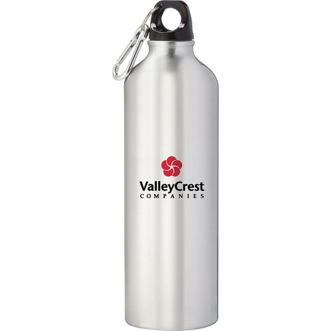 A drink bottle made of aluminium, featuring a silver finish and a carabiner, with a prominent logo.