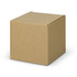 A plain brown cardboard box with a simple square shape and a flap top closure.