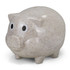 A piggy bank in a natural speckled finish, featuring two large eyes and a classic pig shape.