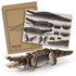 A wooden model crocodile in brown and grey, displayed next to its assembly instructions.