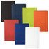 A collection of Ambassadors Bound JournalBooks in various colours including black, blue, green, orange, red, and white, with logos.