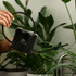 A black watering can with a curved handle, set against lush green plants. It features a logo.