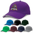 A purple cap featuring a logo, surrounded by caps in black, green, navy, maroon, and grey.