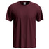 A maroon men's classic T-shirt with a round neck and short sleeves, featuring a small logo on the label.
