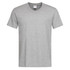 A grey men's classic V-neck T-shirt featuring short sleeves and a simple design. It has a logo on the tag.